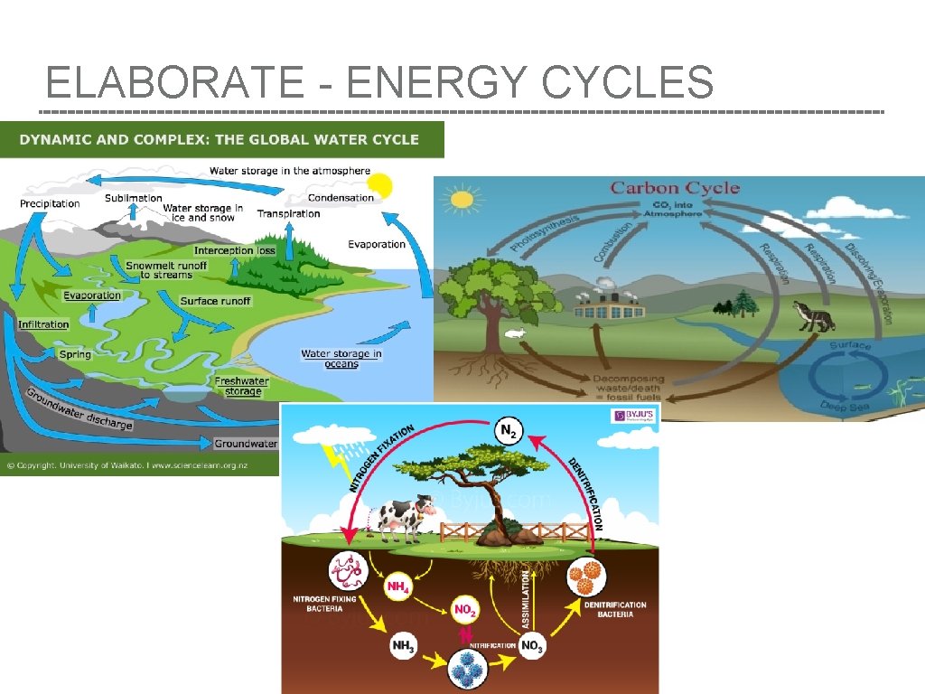 ELABORATE - ENERGY CYCLES 
