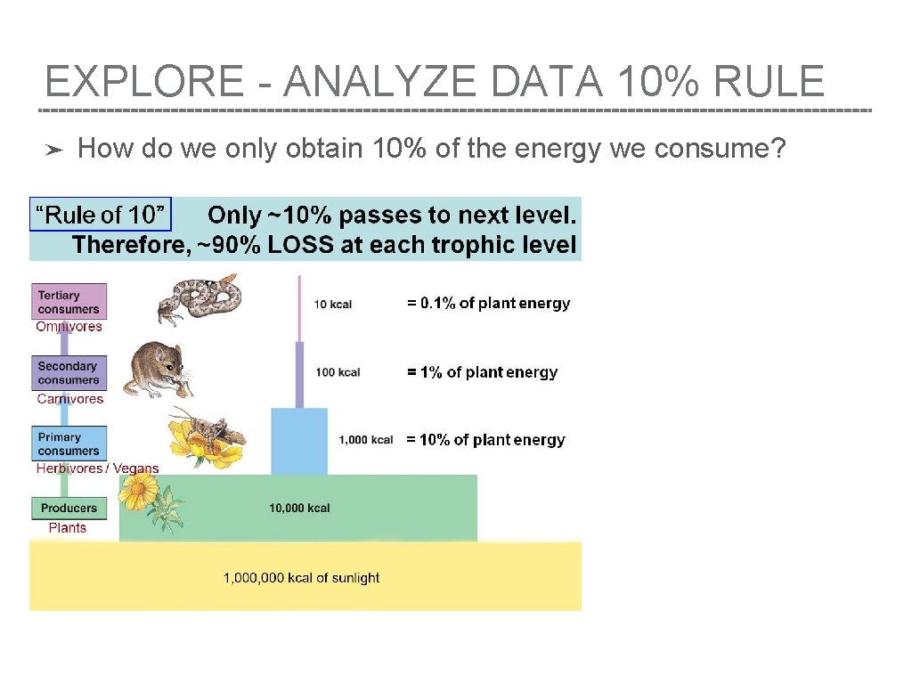EXPLORE - ANALYZE DATA 10% RULE ➤ How do we only obtain 10% of