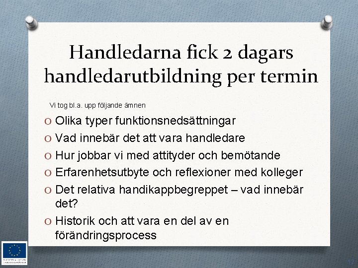 Handledarna fick 2 dagars handledarutbildning per termin Vi tog bl. a. upp följande ämnen