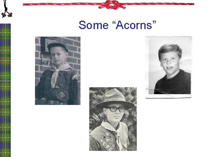 Some “Acorns” 
