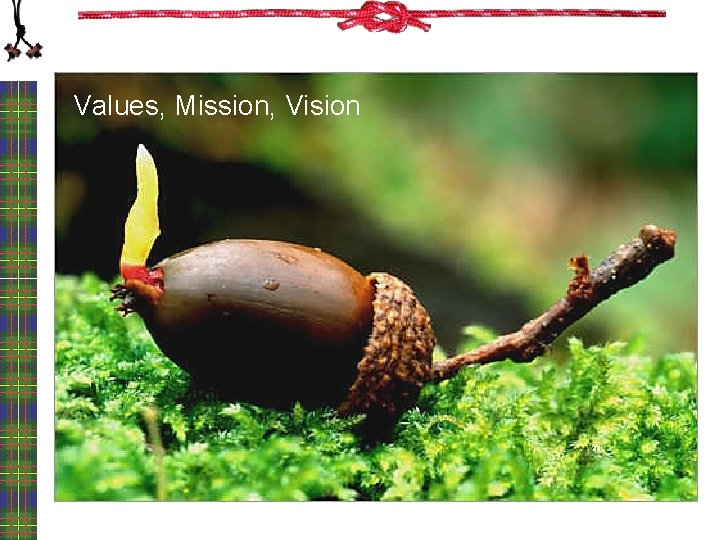 Values, Mission, Vision 