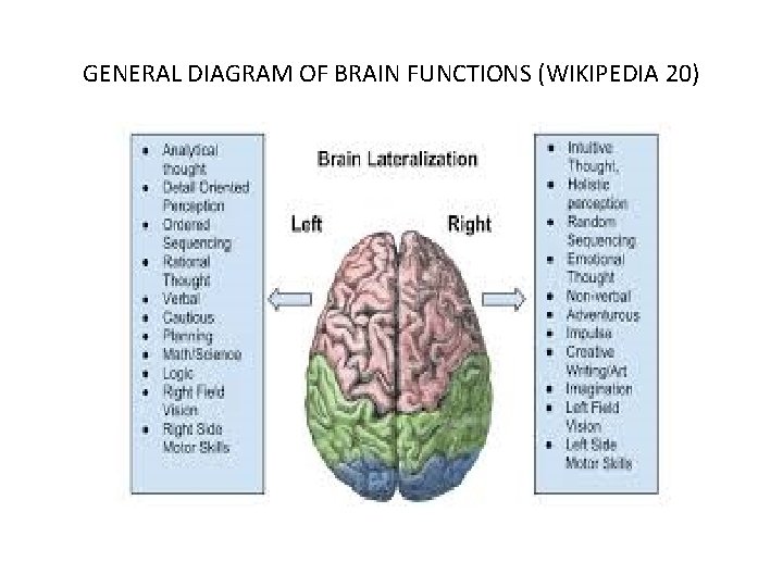 GENERAL DIAGRAM OF BRAIN FUNCTIONS (WIKIPEDIA 20) 