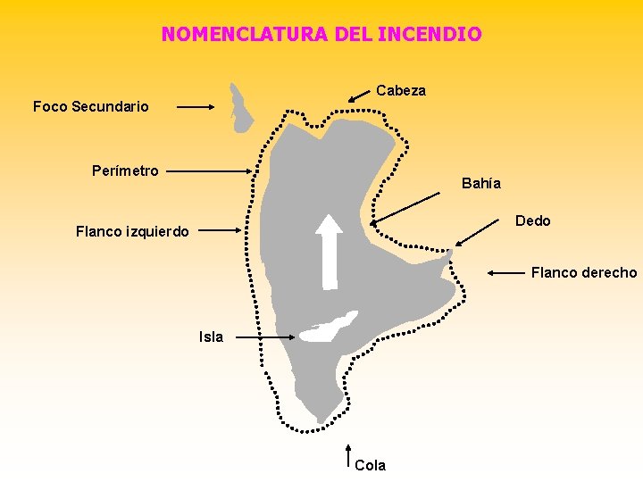 NOMENCLATURA DEL INCENDIO Cabeza Foco Secundario Perímetro Bahía Dedo Flanco izquierdo Flanco derecho Isla