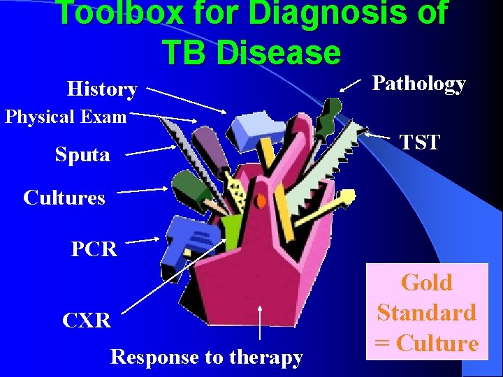 Toolbox for Diagnosis of TB Disease History Pathology Physical Exam Sputa TST Cultures PCR