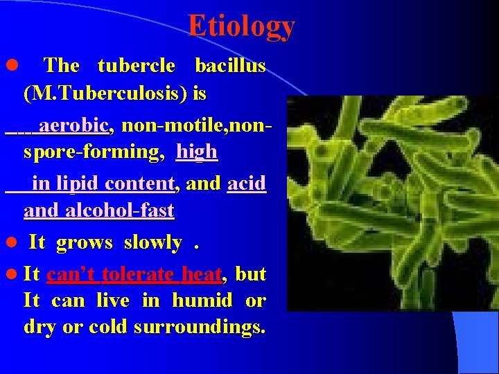 Etiology The tubercle bacillus (M. Tuberculosis) is aerobic, non-motile, nonspore-forming, high in lipid content,