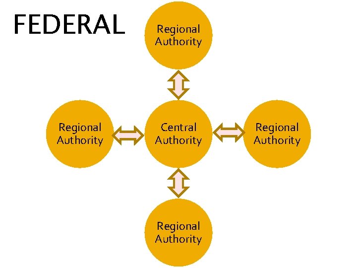 FEDERAL Regional Authority Central Authority Regional Authority 