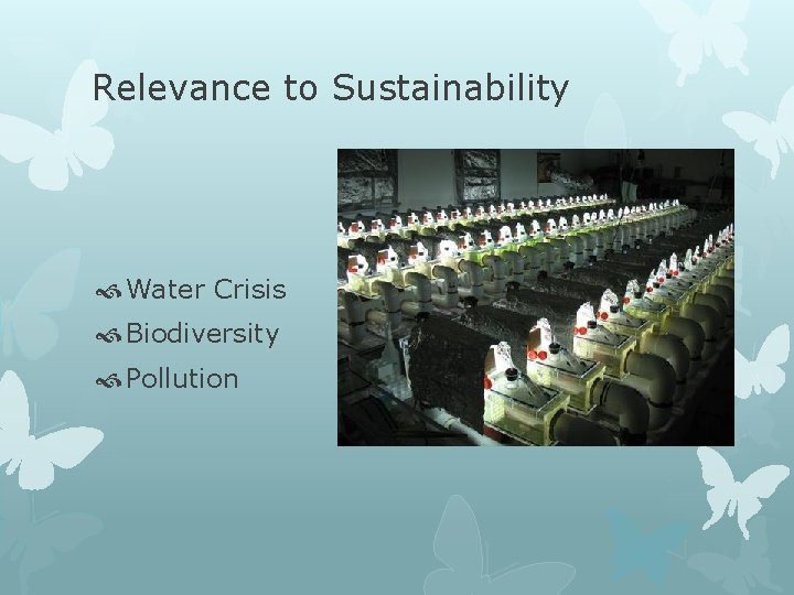 Relevance to Sustainability Water Crisis Biodiversity Pollution 