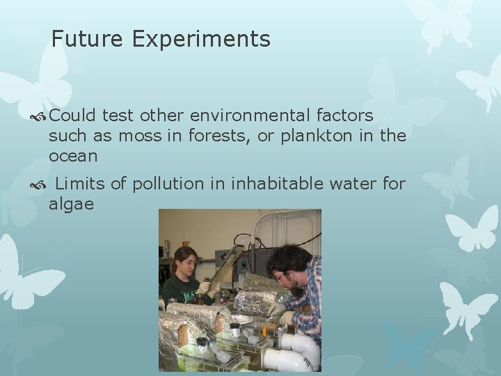 Future Experiments Could test other environmental factors such as moss in forests, or plankton