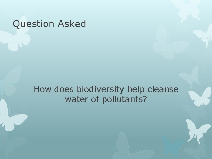 Question Asked How does biodiversity help cleanse water of pollutants? 