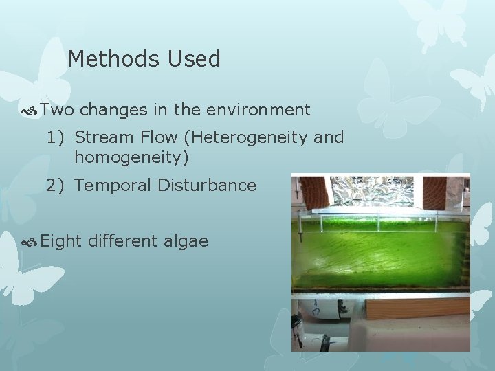 Methods Used Two changes in the environment 1) Stream Flow (Heterogeneity and homogeneity) 2)
