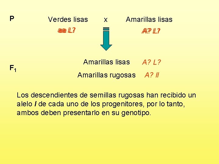 P F 1 Verdes lisas aa aa L? Ll x Amarillas lisas A? A?