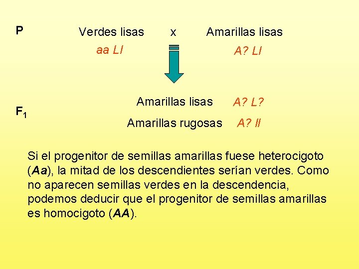 P F 1 Verdes lisas aa Ll x Amarillas lisas A? Ll Amarillas lisas