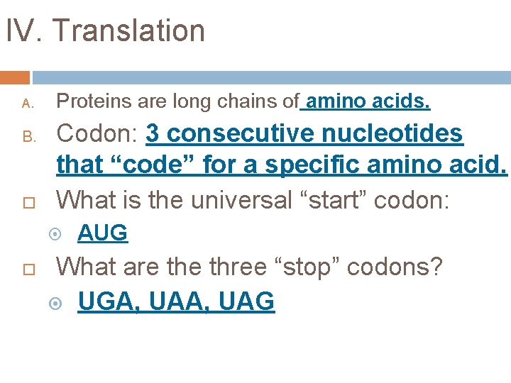 IV. Translation A. B. Proteins are long chains of amino acids. Codon: 3 consecutive