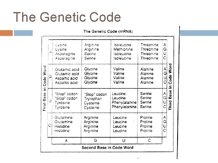 The Genetic Code 