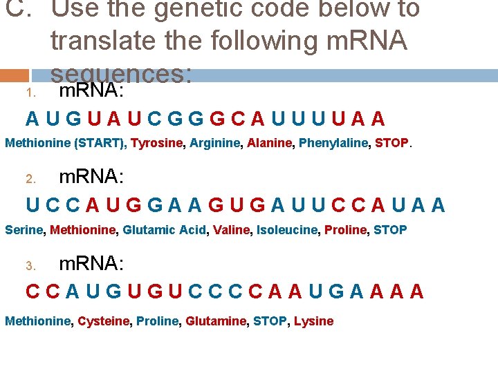 C. Use the genetic code below to translate the following m. RNA sequences: 1.
