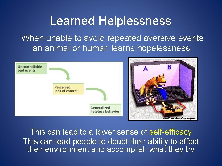 Learned Helplessness When unable to avoid repeated aversive events an animal or human learns