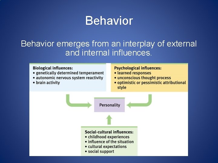 Behavior emerges from an interplay of external and internal influences. 