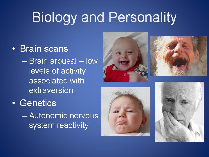 Biology and Personality • Brain scans – Brain arousal – low levels of activity