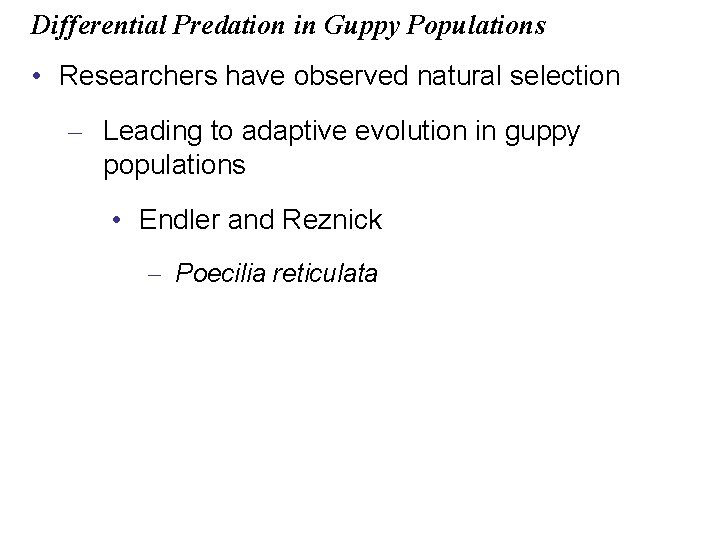 Differential Predation in Guppy Populations • Researchers have observed natural selection – Leading to