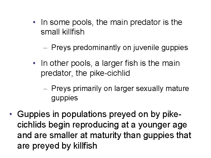 • In some pools, the main predator is the small killfish – Preys
