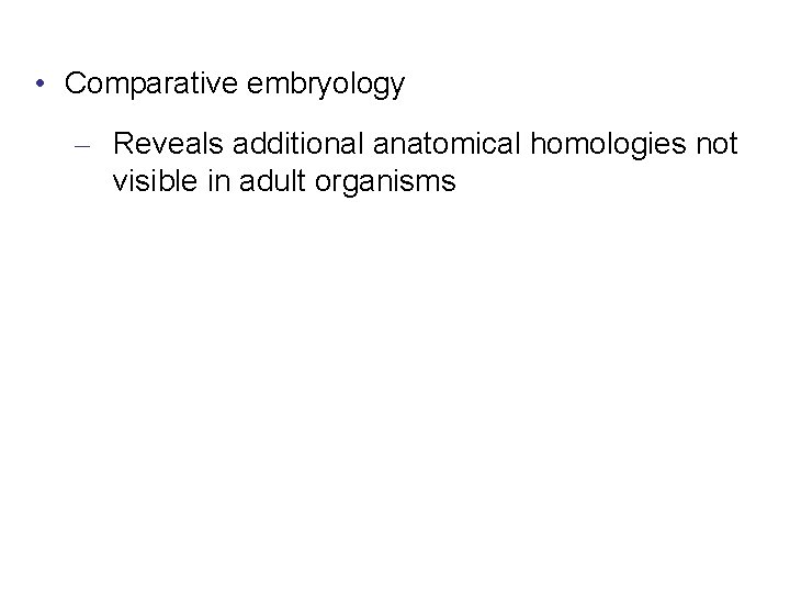  • Comparative embryology – Reveals additional anatomical homologies not visible in adult organisms