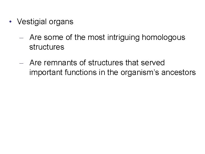  • Vestigial organs – Are some of the most intriguing homologous structures –