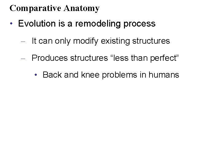 Comparative Anatomy • Evolution is a remodeling process – It can only modify existing