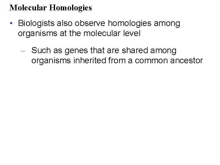 Molecular Homologies • Biologists also observe homologies among organisms at the molecular level –