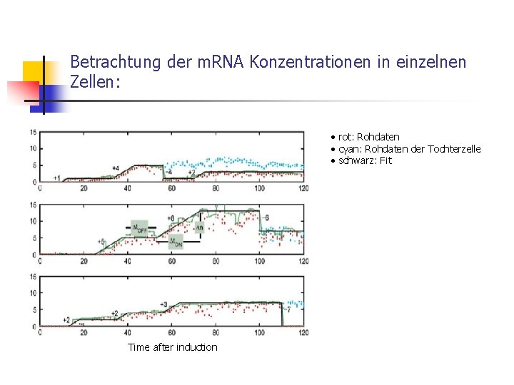 Betrachtung der m. RNA Konzentrationen in einzelnen Zellen: • rot: Rohdaten • cyan: Rohdaten