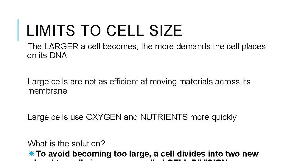 LIMITS TO CELL SIZE The LARGER a cell becomes, the more demands the cell