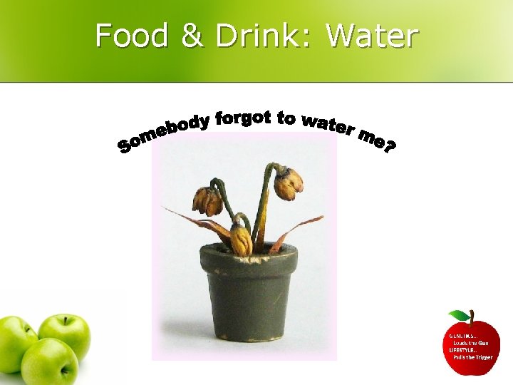 Food & Drink: Water 