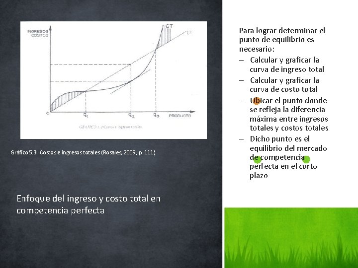 Gráfico 5. 3 Costos e ingresos totales (Rosales, 2009, p. 111). Enfoque del ingreso