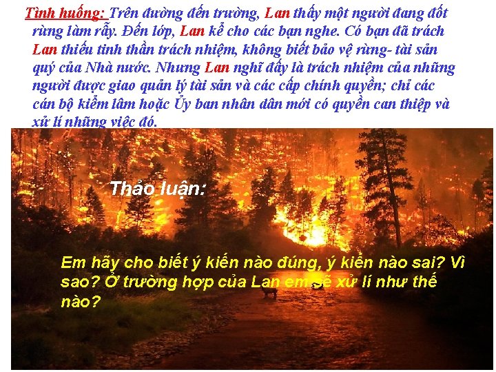 Tình huống: Trên đường đến trường, Lan thấy một người đang đốt rừng làm