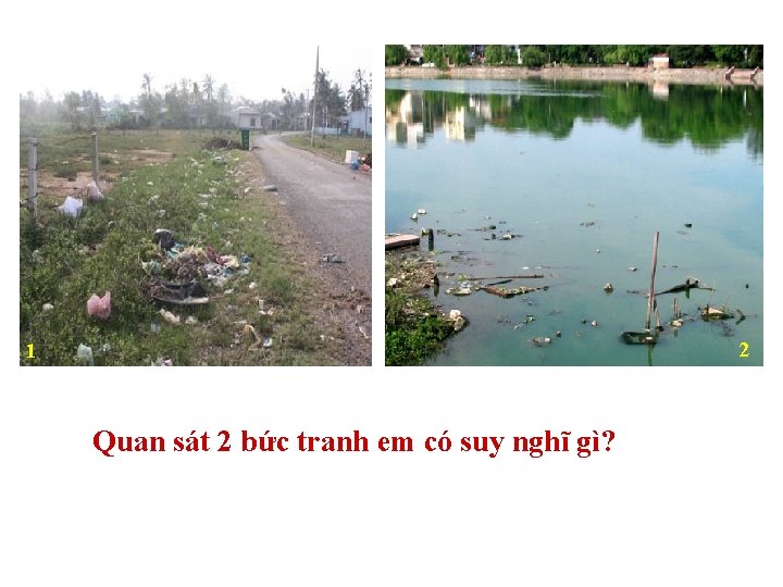 2 1 Quan sát 2 bức tranh em có suy nghĩ gì? 