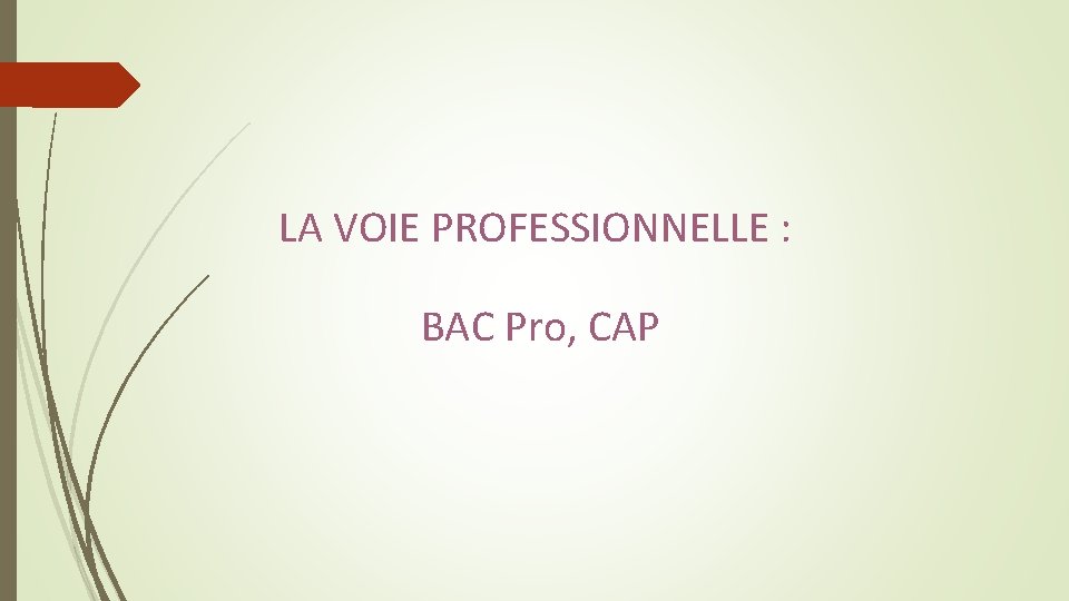 LA VOIE PROFESSIONNELLE : BAC Pro, CAP 