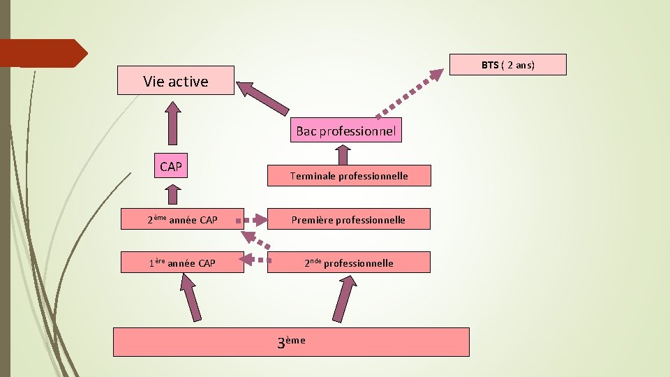 BTS ( 2 ans) Vie active Bac professionnel CAP Terminale professionnelle 2ème année CAP