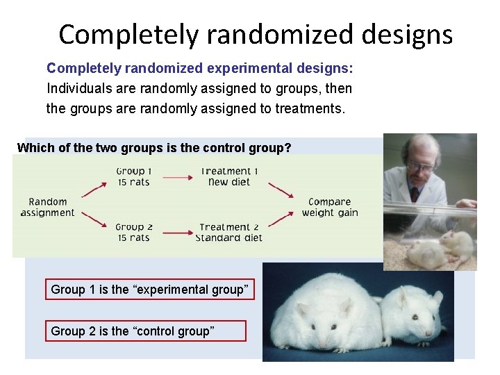 Completely randomized designs Completely randomized experimental designs: Individuals are randomly assigned to groups, then