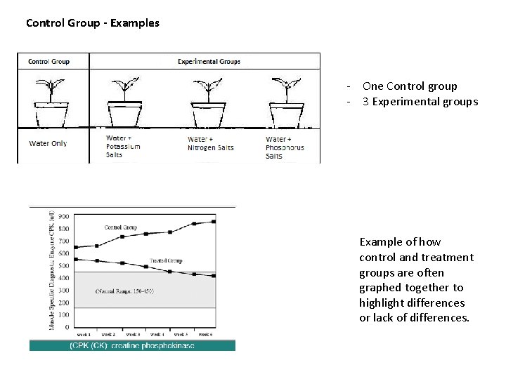 Control Group - Examples - One Control group - 3 Experimental groups Example of