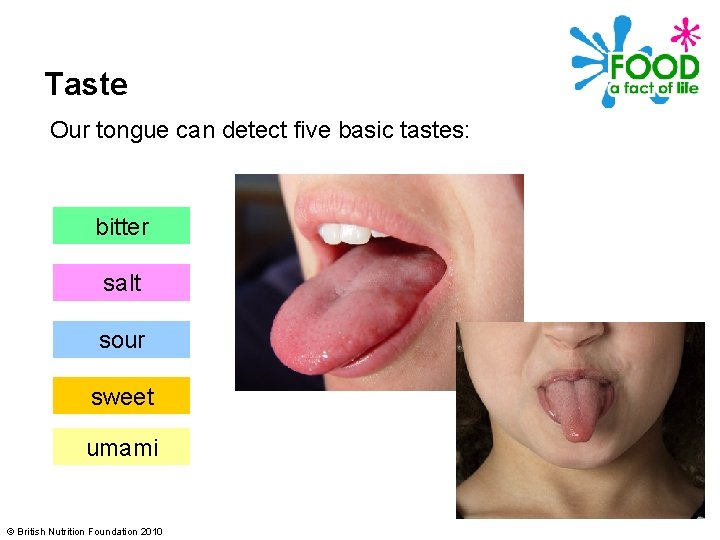 Taste Our tongue can detect five basic tastes: bitter salt sour sweet umami ©