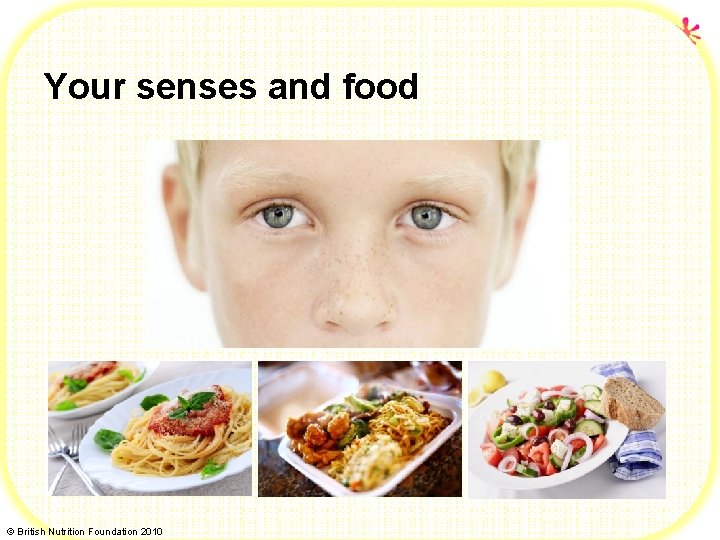 Your senses and food © British Nutrition Foundation 2010 