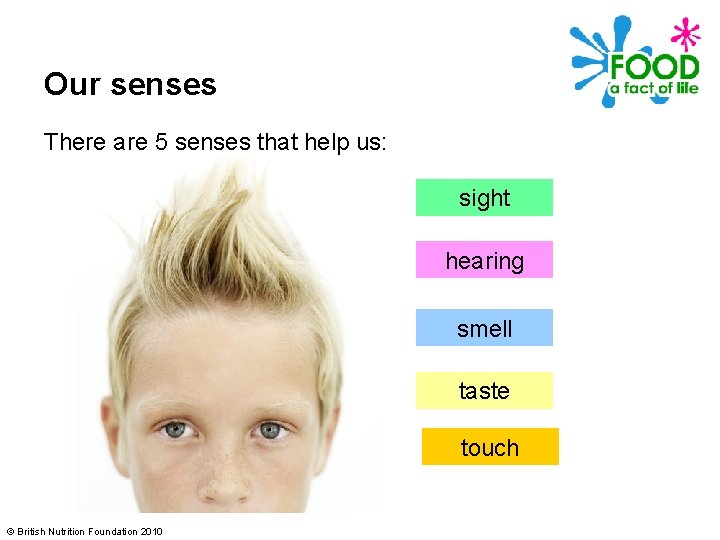 Our senses There are 5 senses that help us: sight hearing smell taste touch