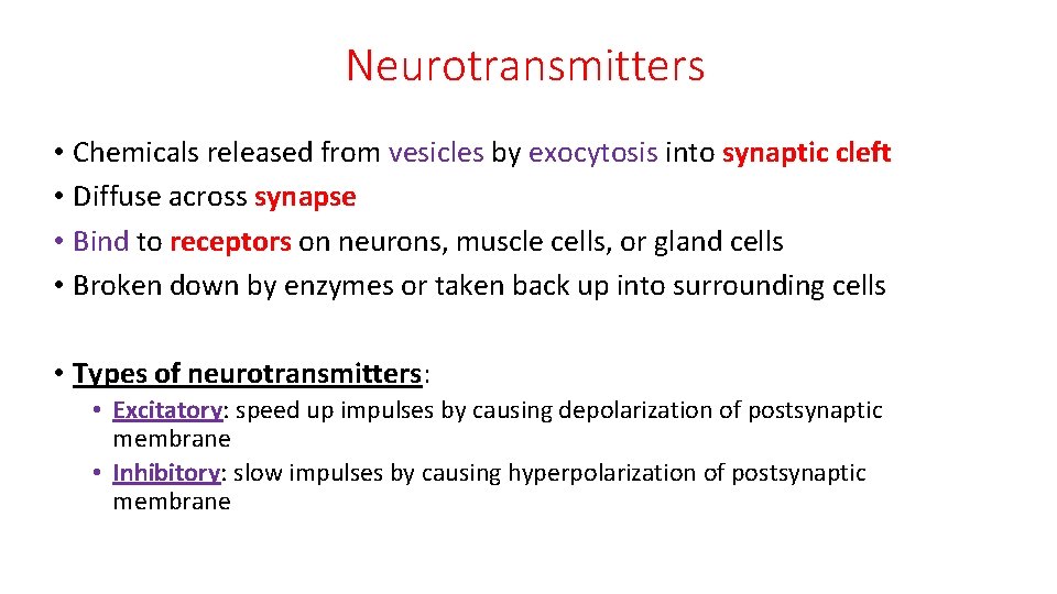 Neurotransmitters • Chemicals released from vesicles by exocytosis into synaptic cleft • Diffuse across