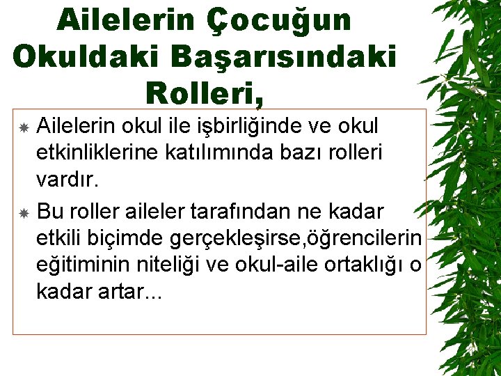 Ailelerin Çocuğun Okuldaki Başarısındaki Rolleri, Ailelerin okul ile işbirliğinde ve okul etkinliklerine katılımında bazı