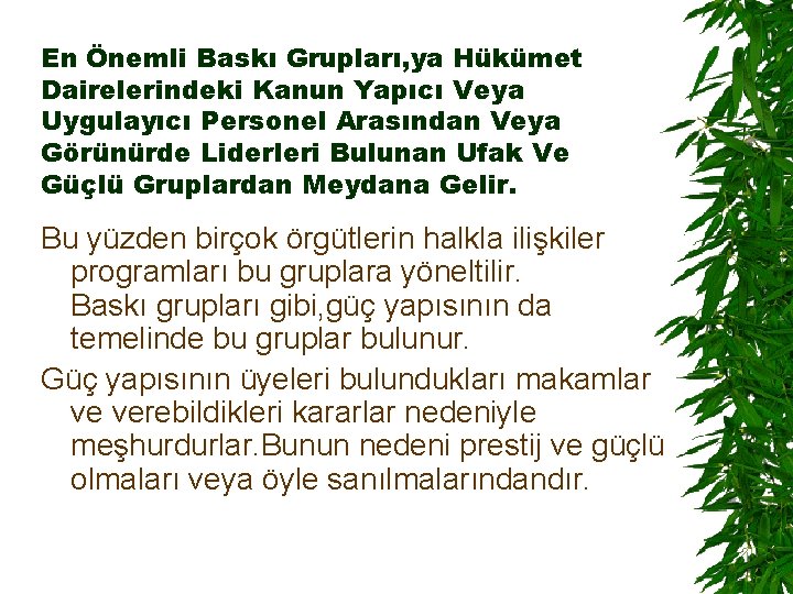 En Önemli Baskı Grupları, ya Hükümet Dairelerindeki Kanun Yapıcı Veya Uygulayıcı Personel Arasından Veya