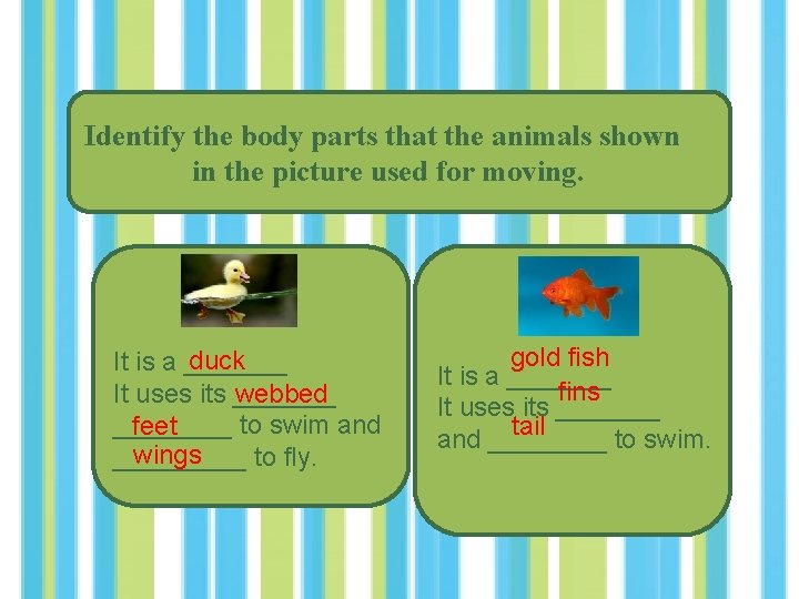 Identify the body parts that the animals shown in the picture used for moving.