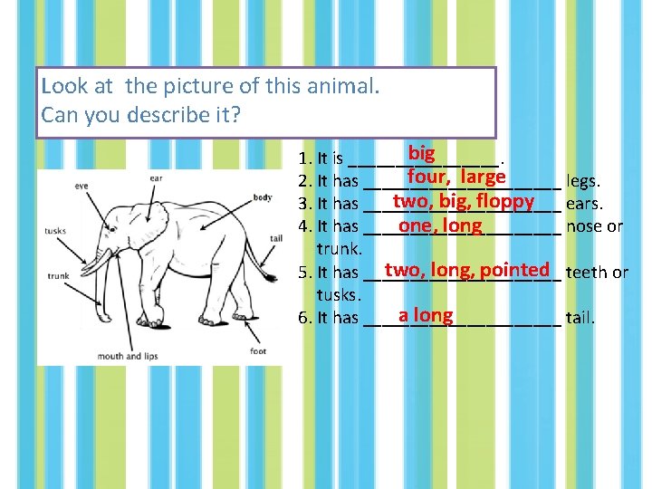 Look at the picture of this animal. Can you describe it? big 1. It