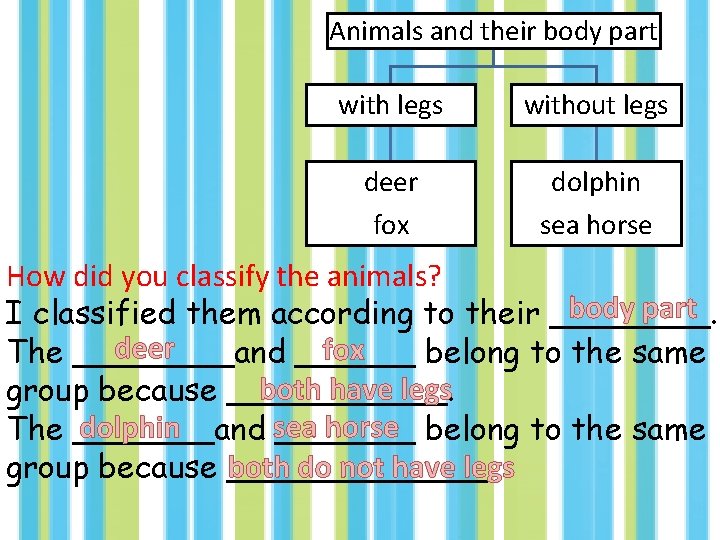 Animals and their body part with legs without legs deer fox dolphin sea horse