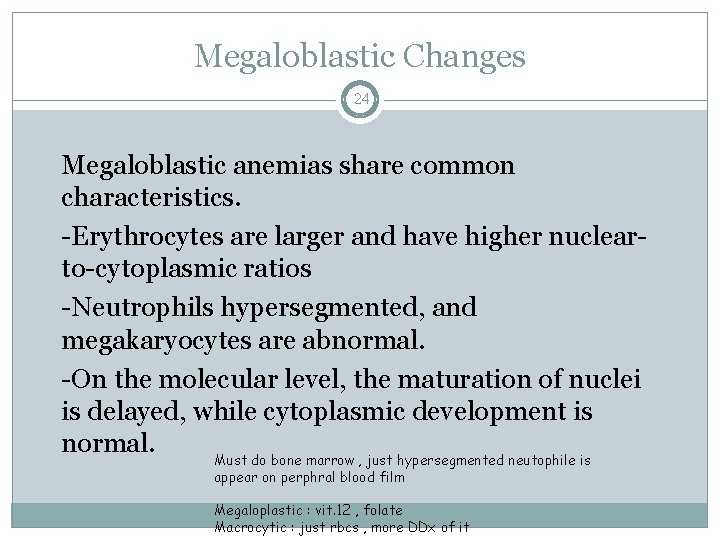 Megaloblastic Changes 24 Megaloblastic anemias share common characteristics. -Erythrocytes are larger and have higher