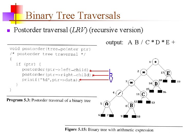 Binary Tree Traversals n Postorder traversal (LRV) (recursive version) output: A B / C