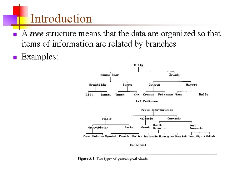 Introduction n n A tree structure means that the data are organized so that